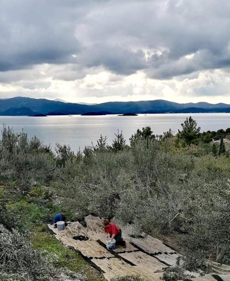 Apartmani Kremena Small Beach 200M Klek Εξωτερικό φωτογραφία